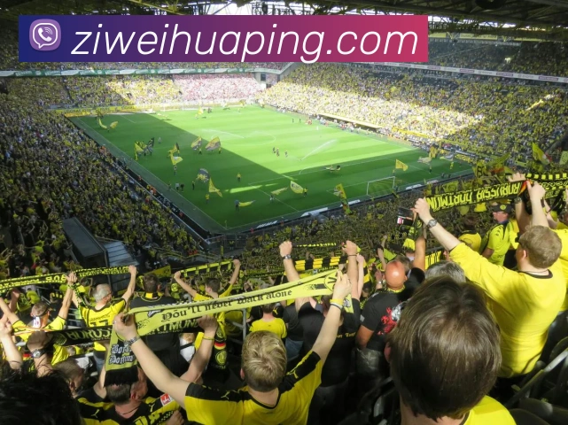 悟空体育APP 高清赛事图